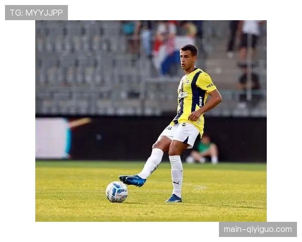 欧联杯赛后,马赛全队连夜返回法国备战周末联赛